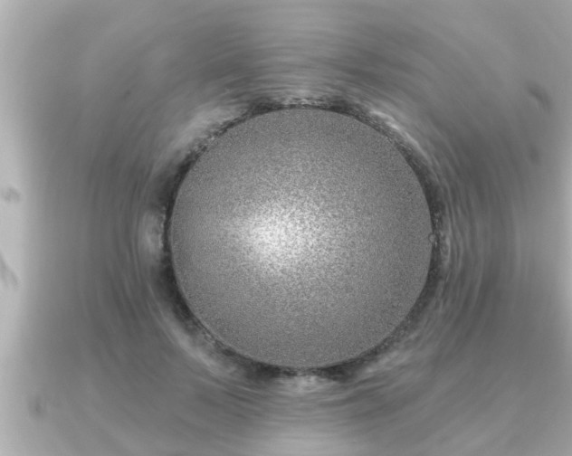 X0000090950695200708091328