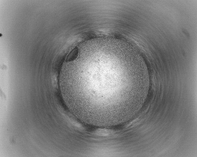 X0000090950699200708091328