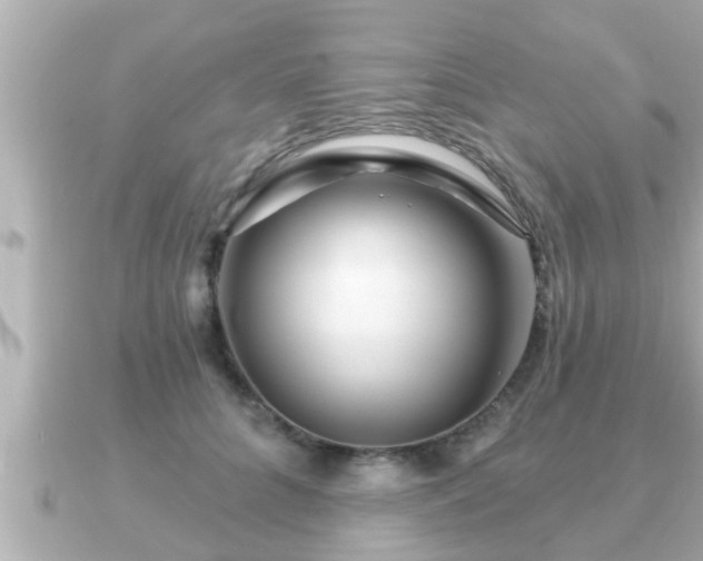 X0000090950704200708091328