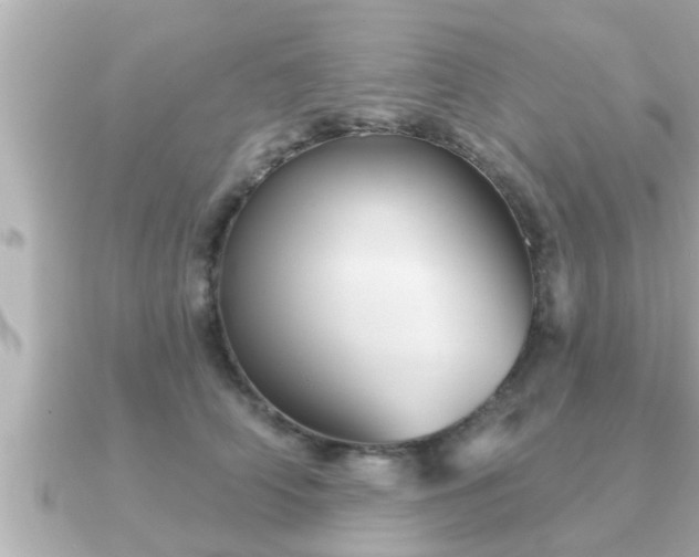 X0000090950706200708091328