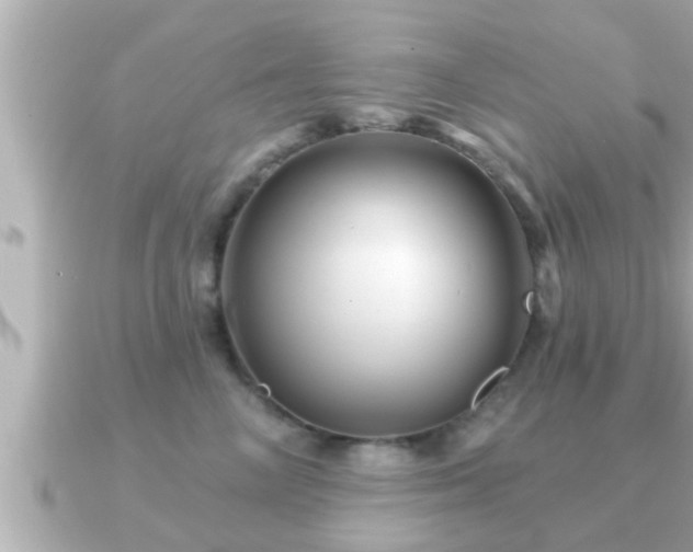 X0000090950714200708091328