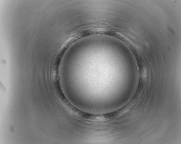X0000090950715200708091328