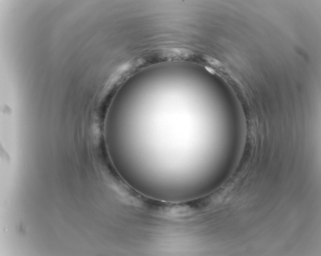 X0000090950716200708091328