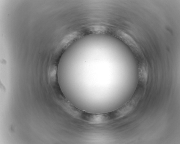 X0000090950717200708091328