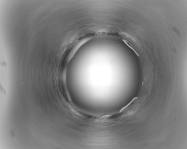 X0000090950720200708091328