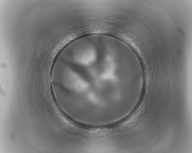 X0000090950721200708091327