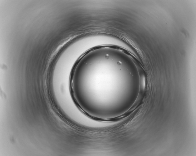 X0000090950722200708091327