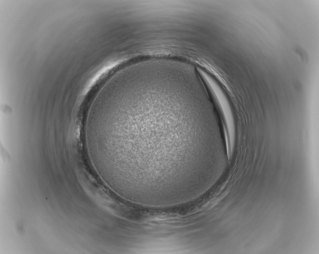 X0000090950723200708091328