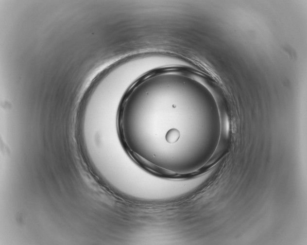 X0000090950724200708091328
