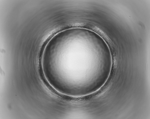 X0000090950725200708091328