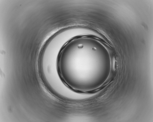 X0000090950726200708091328
