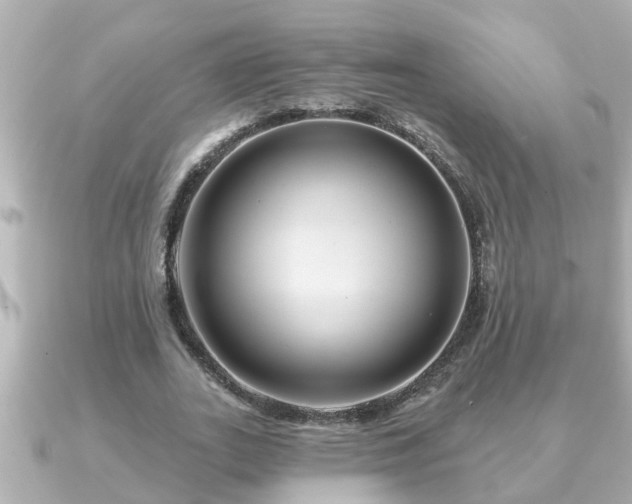 X0000090950727200708091328