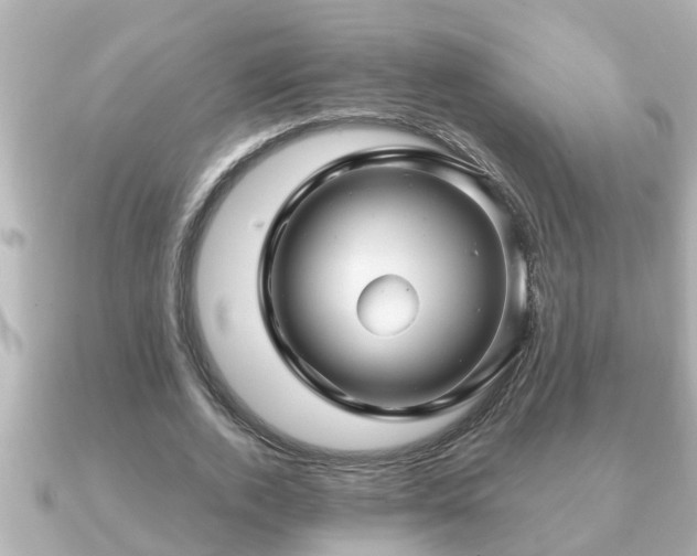 X0000090950728200708091328