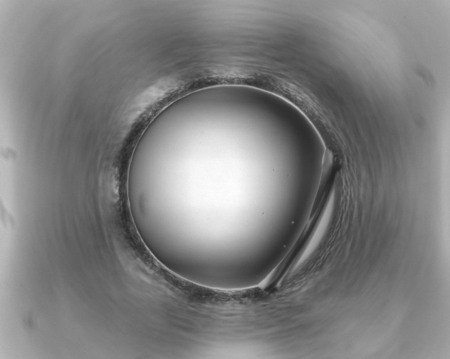 X0000090950731200708091328
