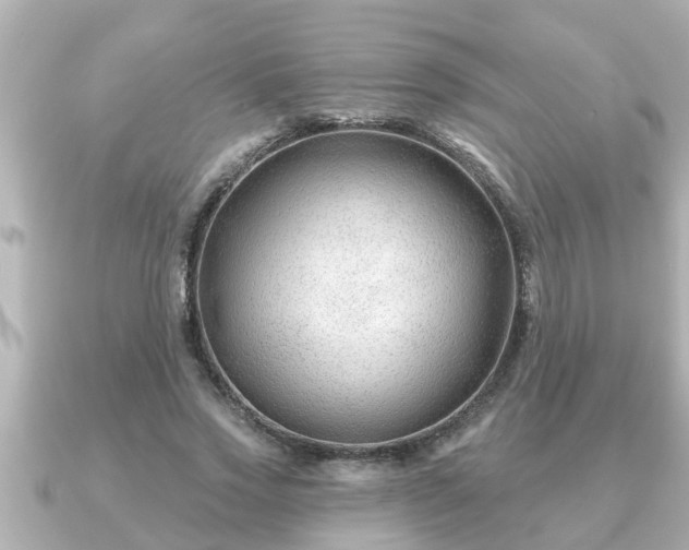 X0000090950733200708091328