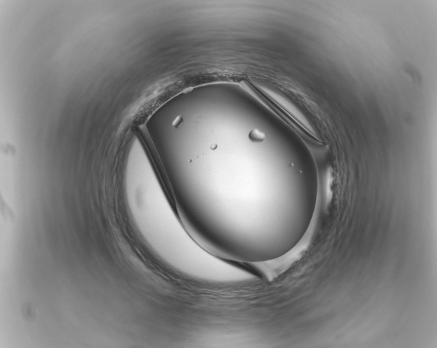 X0000090950734200708091328
