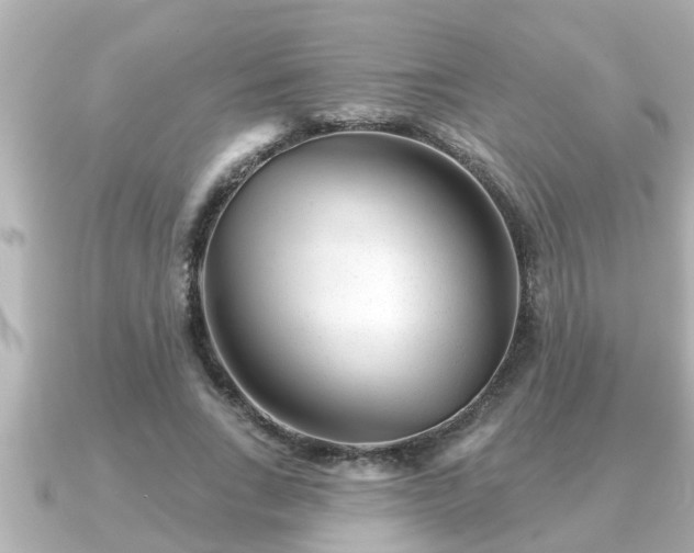 X0000090950735200708091328