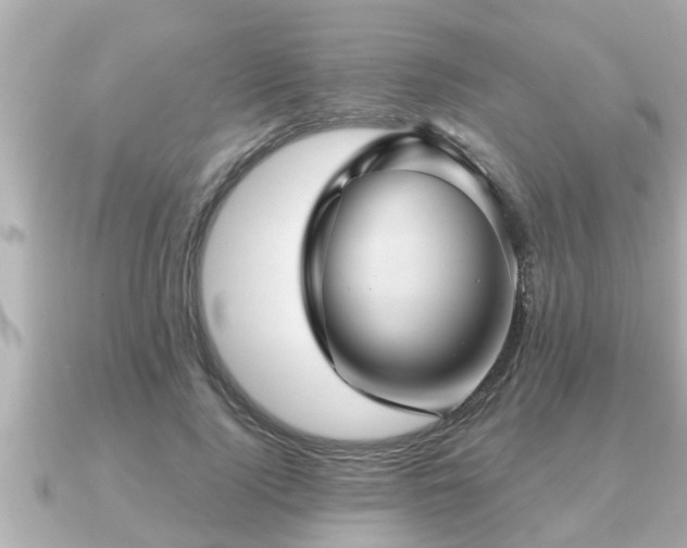 X0000090950740200708091328