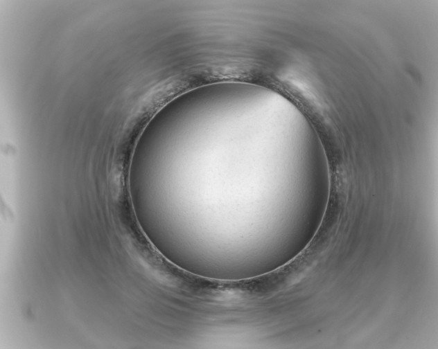 X0000090950741200708091328