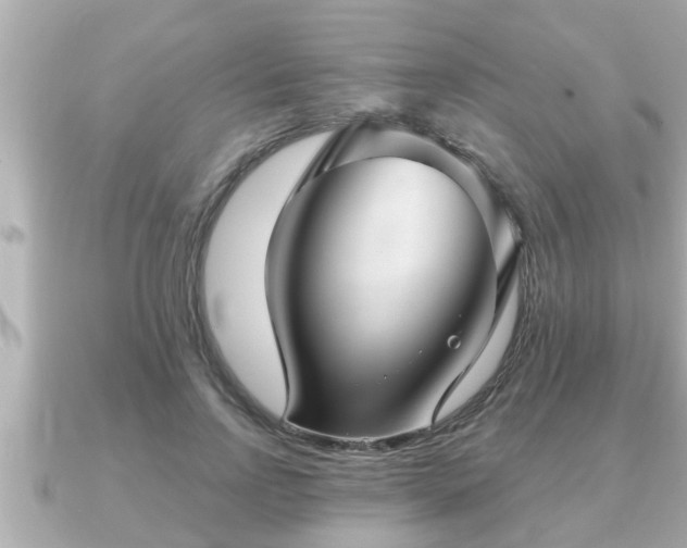 X0000090950742200708091328