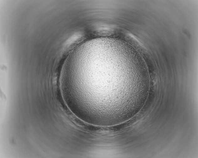 X0000090950745200708091328