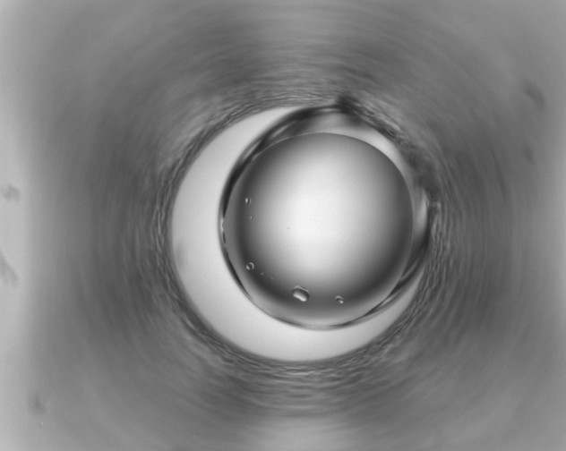 X0000090950746200708091328