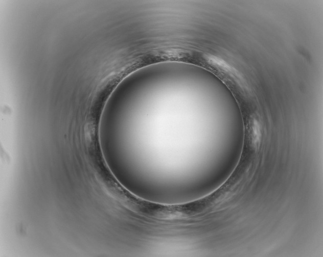 X0000090950747200708091328
