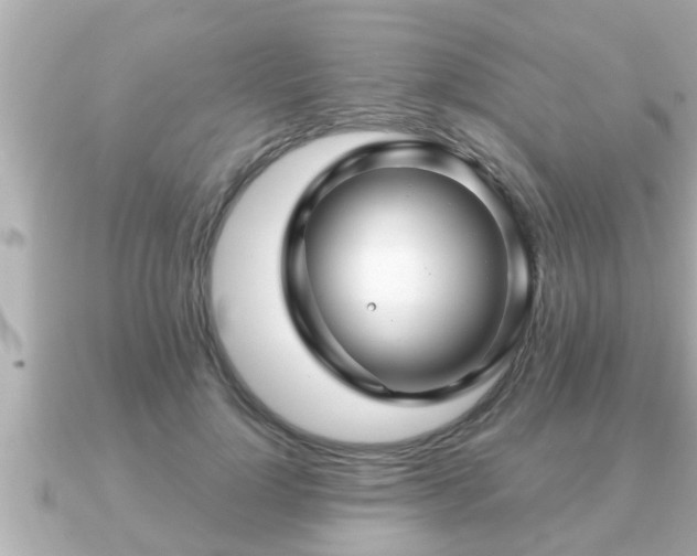 X0000090950748200708091328