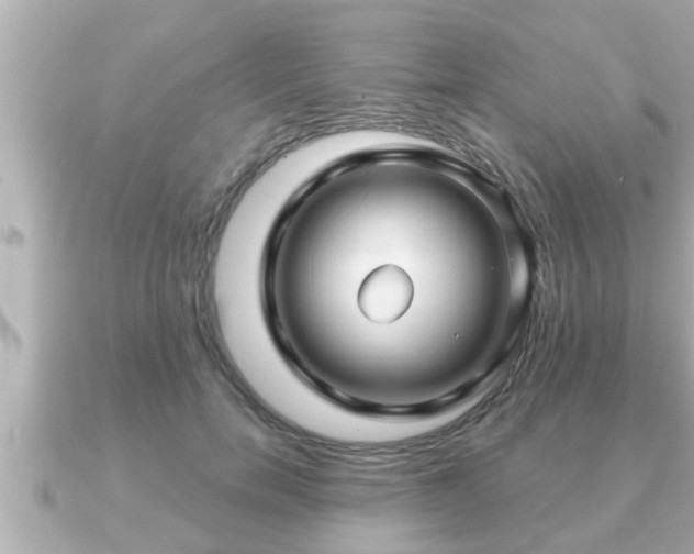 X0000090950750200708091328