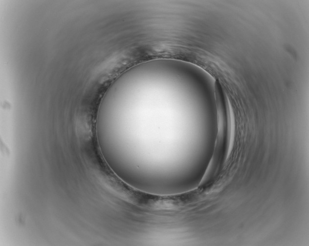 X0000090950751200708091328