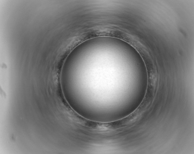 X0000090950753200708091328