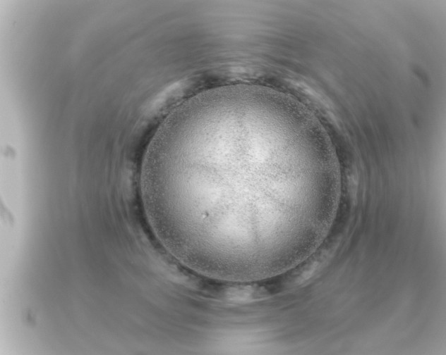 X0000090950757200708091328