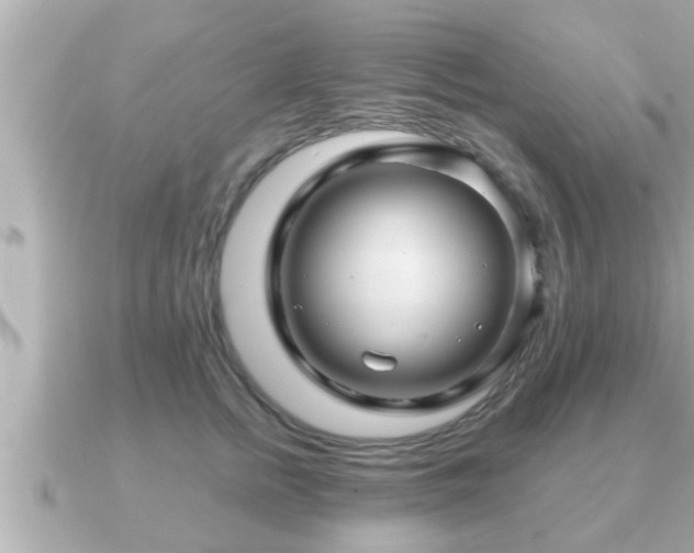 X0000090950758200708091328