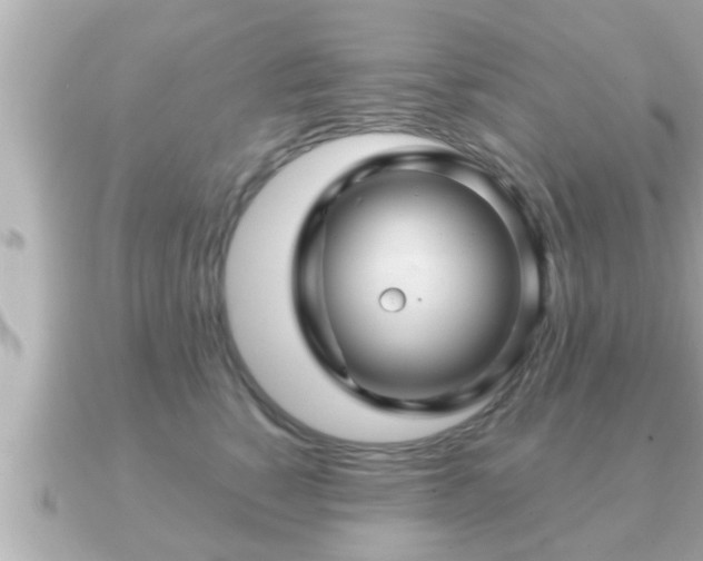 X0000090950760200708091328