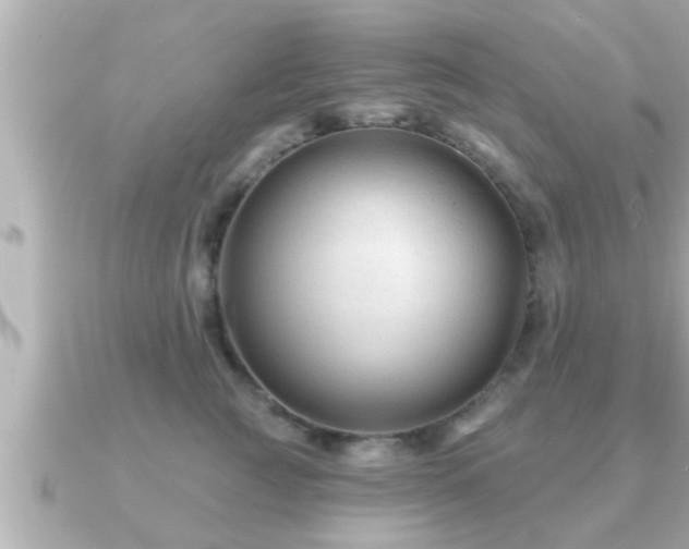 X0000090950761200708091328