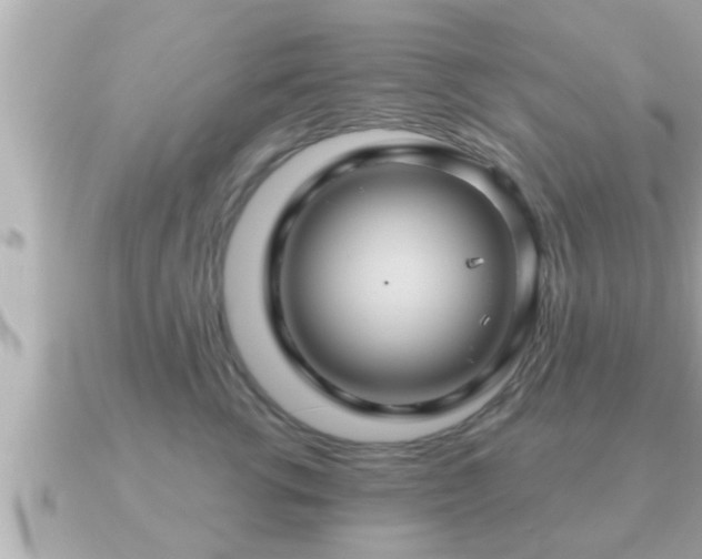 X0000090950762200708091328