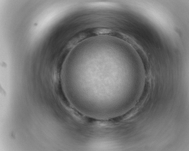 X0000090950763200708091328