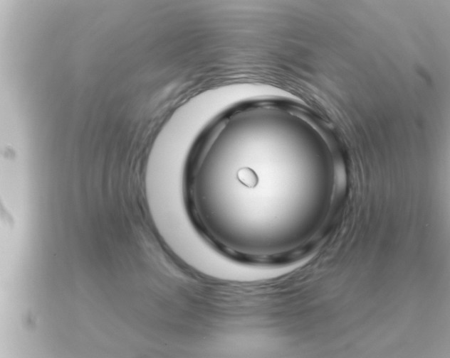 X0000090950764200708091328