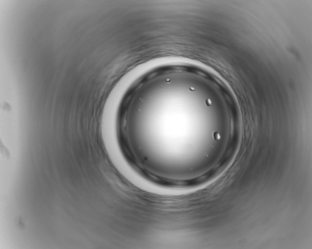 X0000090950766200708091328