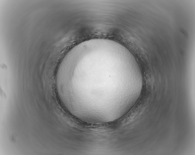 X0000090950769200708091327