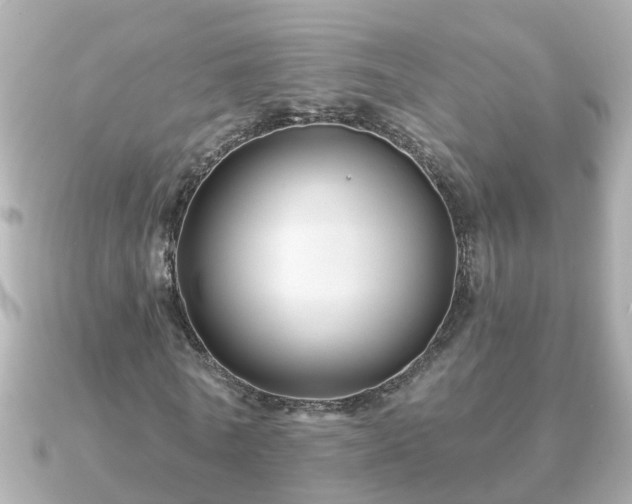 X0000090950770200708091327