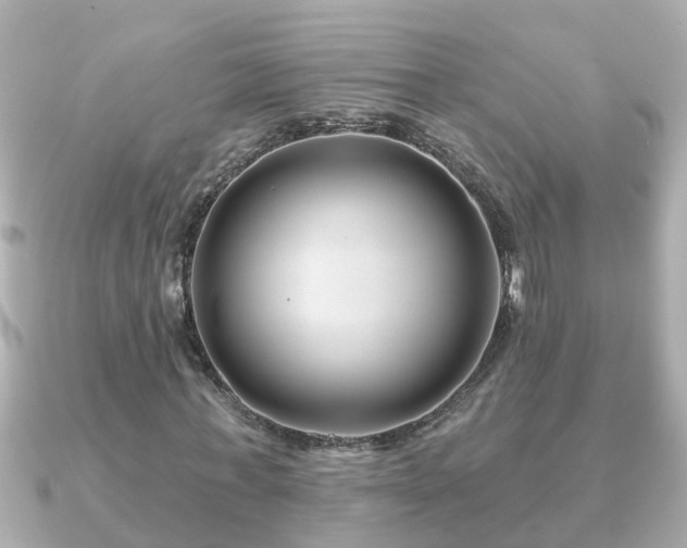 X0000090950771200708091327