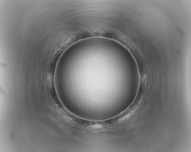 X0000090950772200708091327