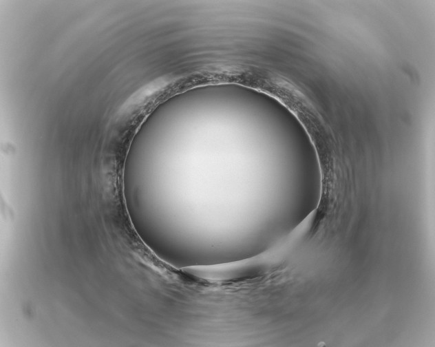 X0000090950773200708091327