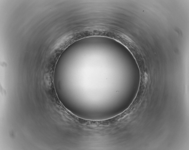 X0000090950774200708091327