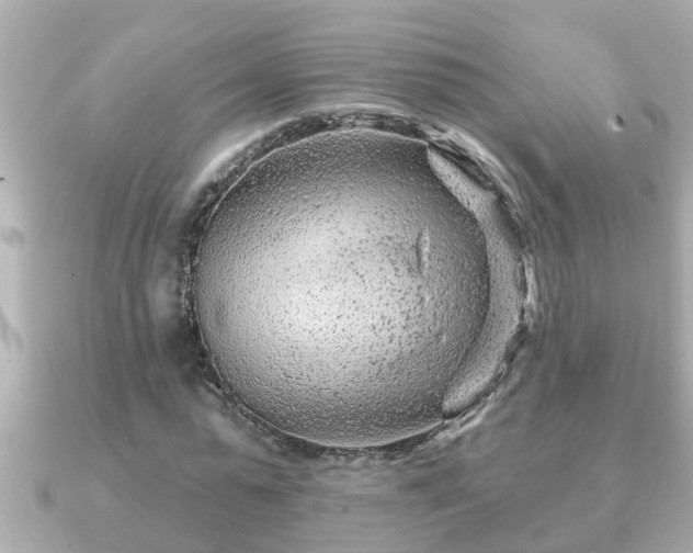 X0000090950775200708091327