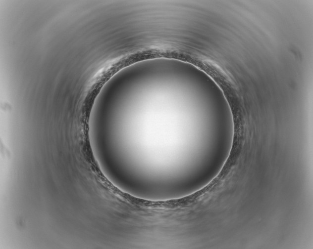 X0000090950776200708091327