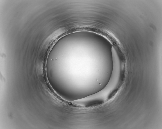 X0000090950777200708091327