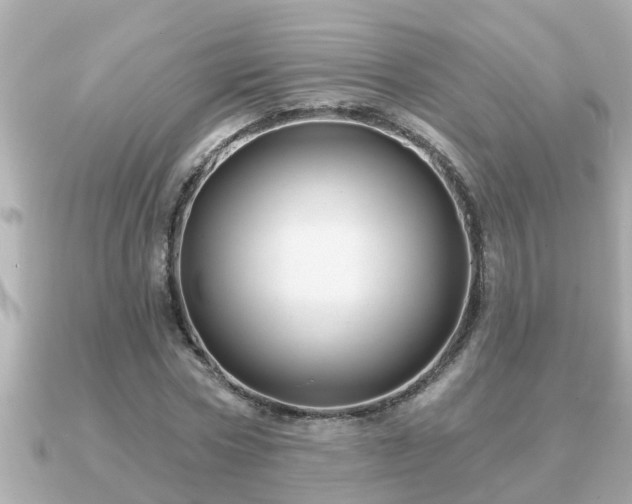 X0000090950778200708091327