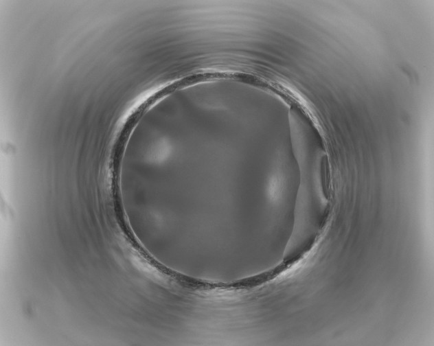 X0000090950779200708091327